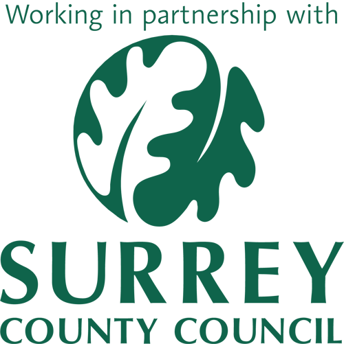 Surrey County Council